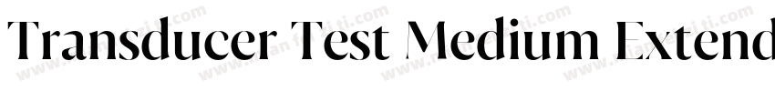 Transducer Test Medium Extended字体转换